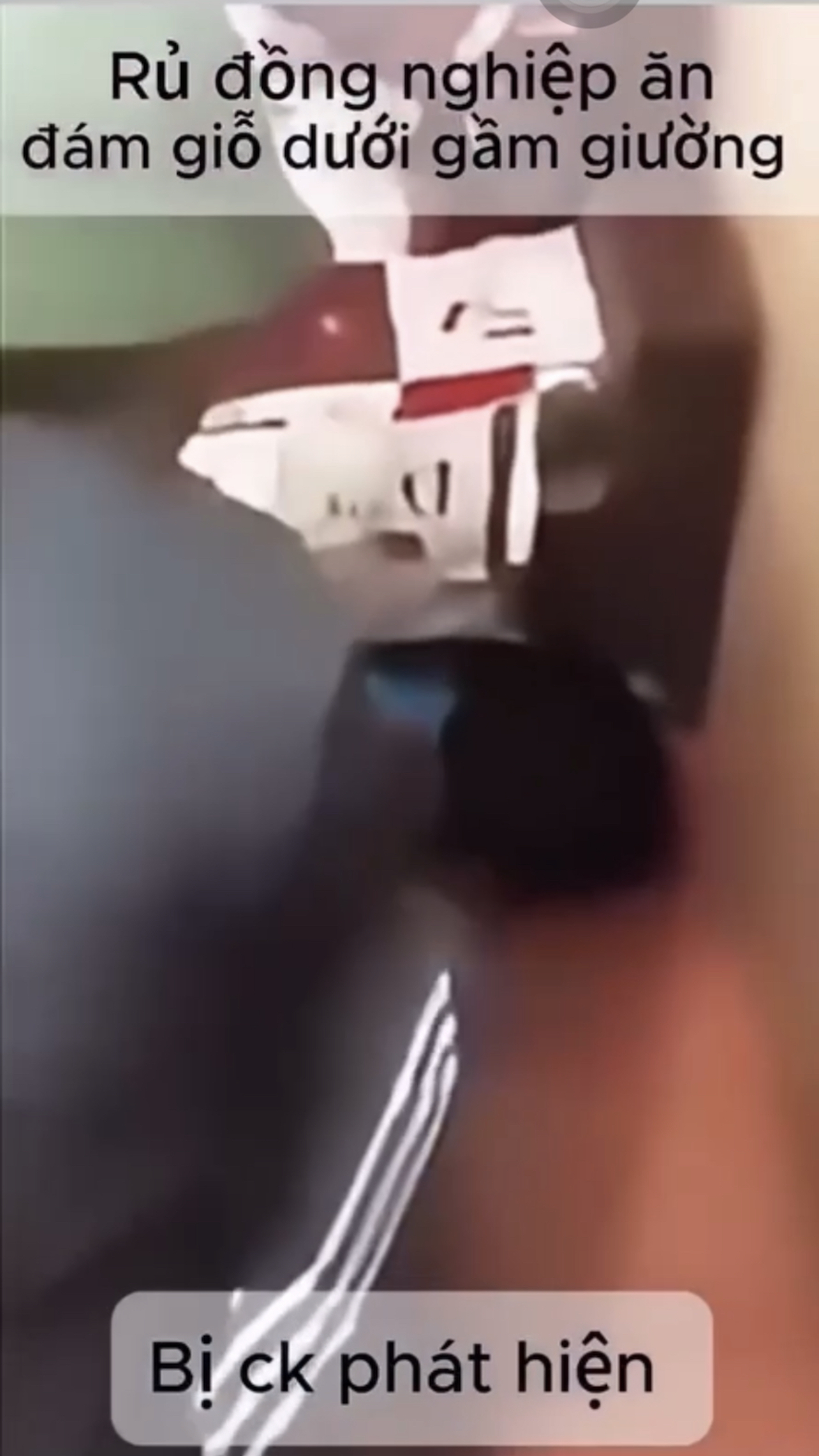 Ảnh thu nhỏ của Vk đi đám giỗ với đồng nghiệp dưới gầm giường