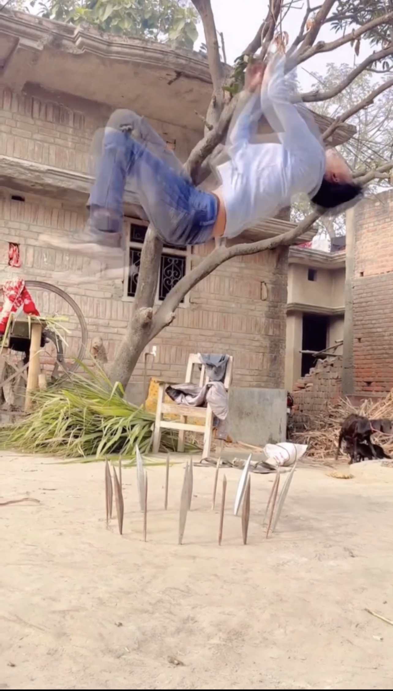 Ảnh thu nhỏ của Thanh niên cắm trông bật tôm,và cái kết