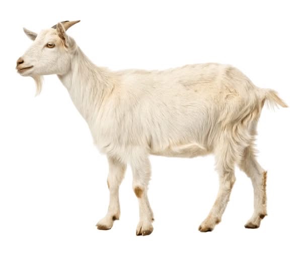 Ảnh thu nhỏ của Chị vk N/gủ với anh vinh hàng xóm