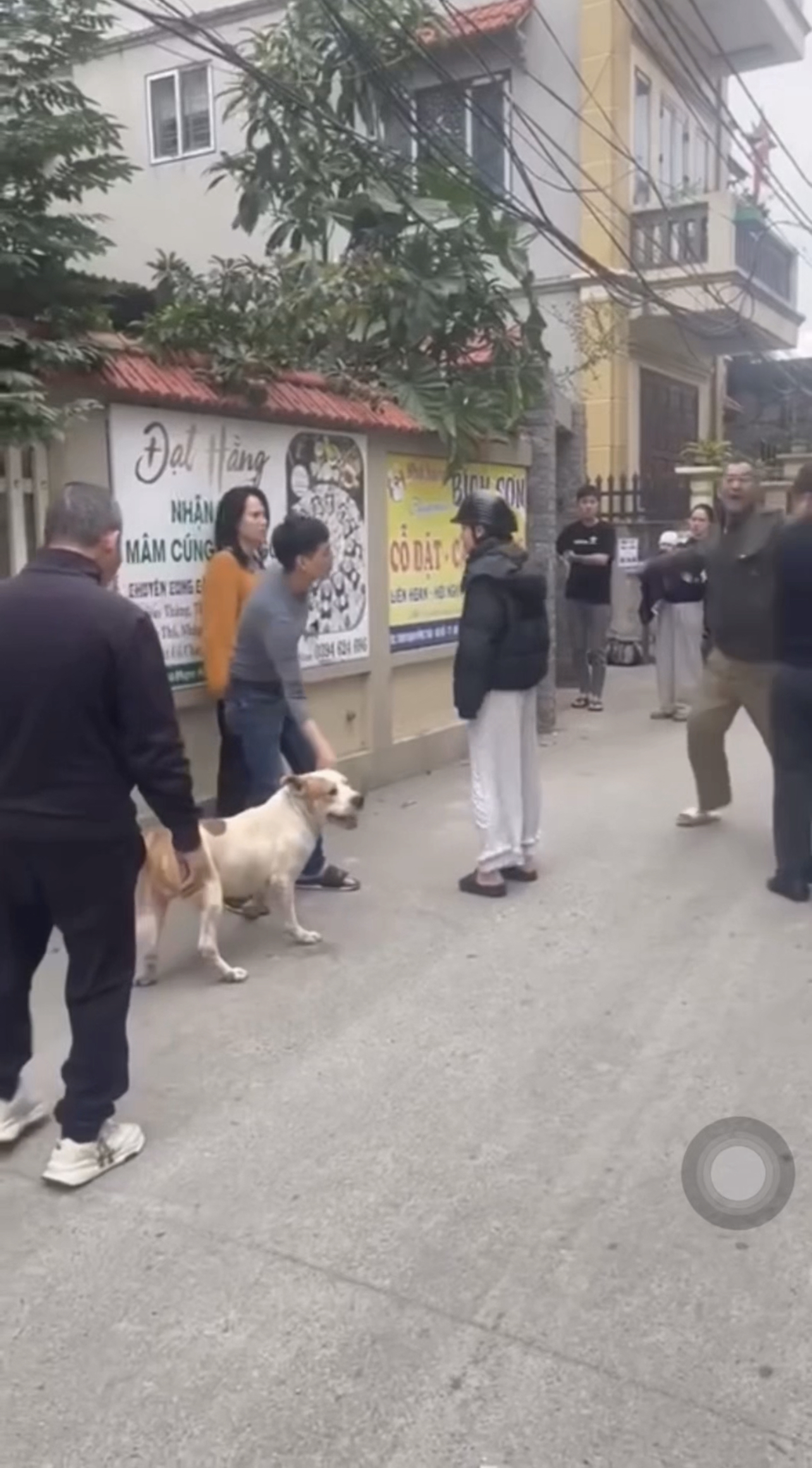 Ảnh thu nhỏ của Chủ ra lệnh cho chó c/ắn người