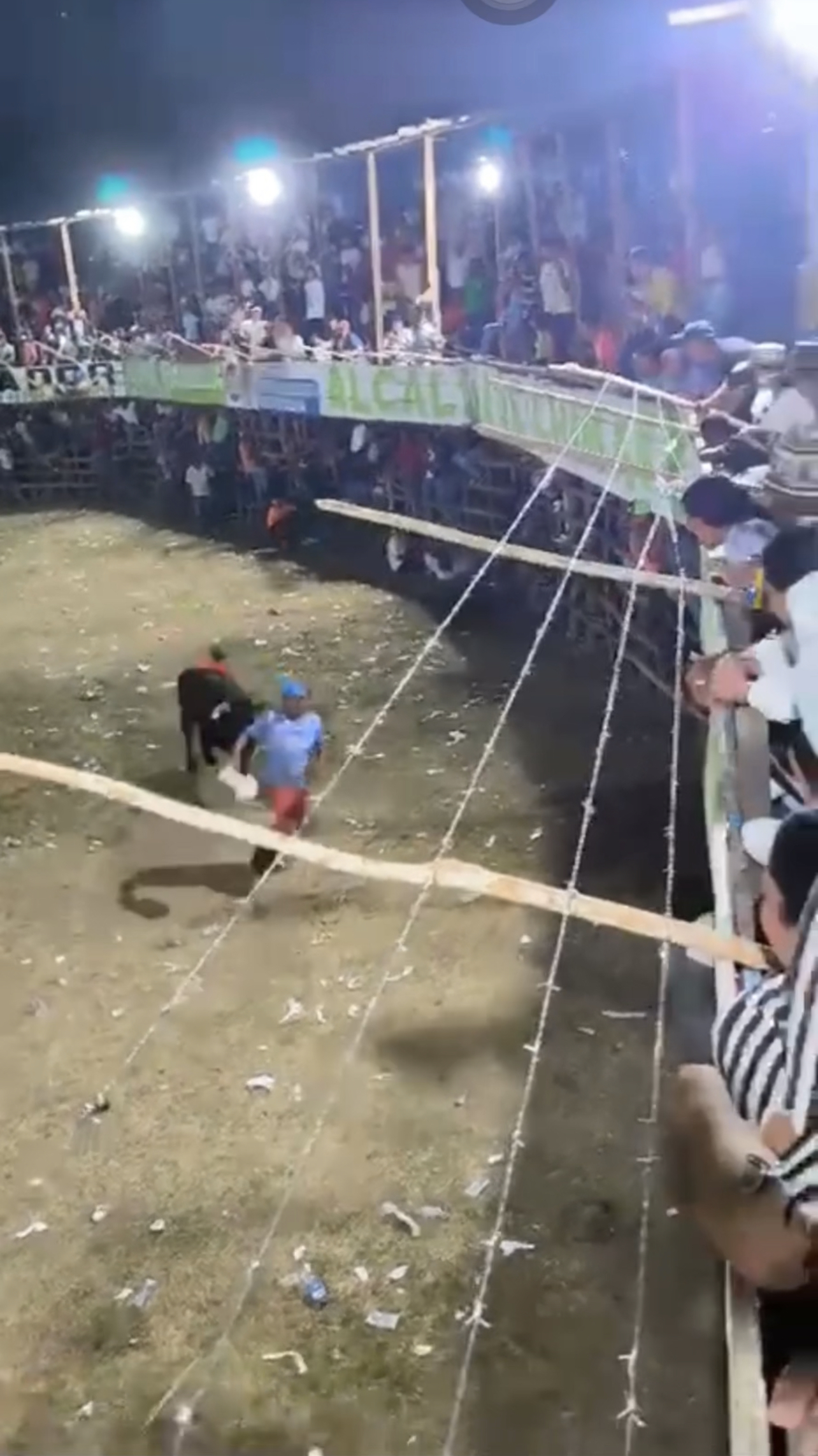 Ảnh thu nhỏ của Bò tót húc thanh niên,l/òi cơ quan dinh dưỡng