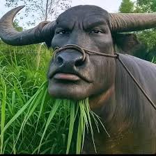 Ảnh thu nhỏ của Lgbt độ mery